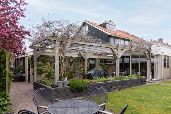 Tuin 3.jpg